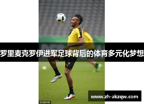 罗里麦克罗伊进军足球背后的体育多元化梦想